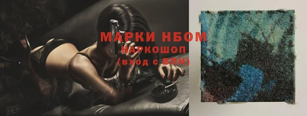 индика Балахна