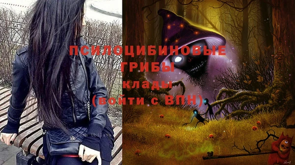 apvp Баксан