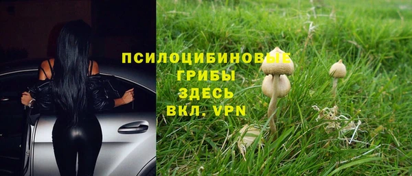 apvp Баксан