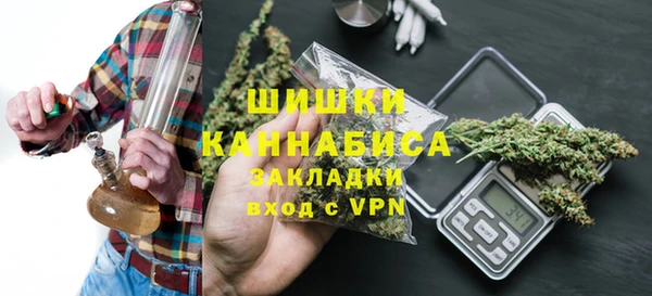 индика Балахна