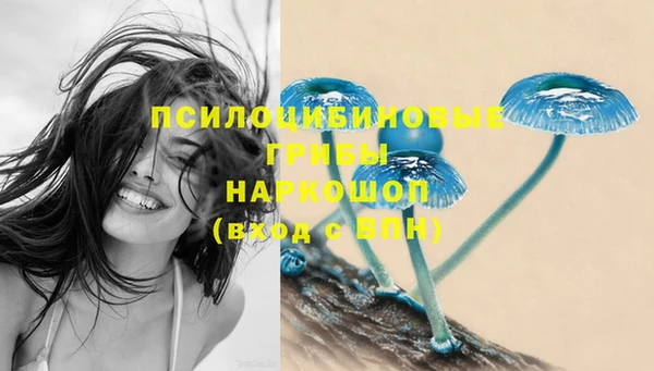 индика Балахна