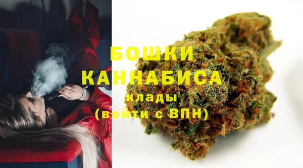 индика Балахна